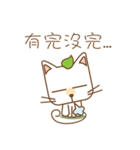 tea cat - daily（個別スタンプ：16）