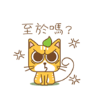 tea cat - daily（個別スタンプ：18）