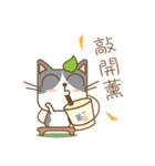 tea cat - daily（個別スタンプ：19）