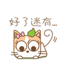 tea cat - daily（個別スタンプ：22）