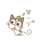 tea cat - daily（個別スタンプ：23）