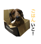 かいとの日常スタンプ（個別スタンプ：9）