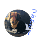 かいとの日常スタンプ（個別スタンプ：10）