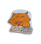 Thongon（個別スタンプ：1）