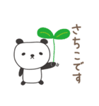 さちこさんパンダ panda for Sachiko（個別スタンプ：2）