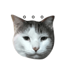 我輩は猫である（個別スタンプ：3）