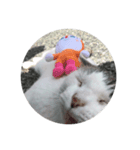 我輩は猫である（個別スタンプ：8）