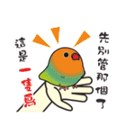 The Bird Slave Daily（個別スタンプ：4）