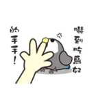 The Bird Slave Daily（個別スタンプ：13）