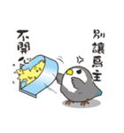 The Bird Slave Daily（個別スタンプ：25）