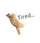まんずです。ねこです。（個別スタンプ：4）