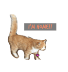 まんずです。ねこです。（個別スタンプ：7）
