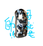 Im dog（個別スタンプ：12）