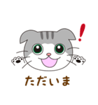スコティッシュフォールドのねこちゃん（個別スタンプ：8）