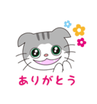 スコティッシュフォールドのねこちゃん（個別スタンプ：10）