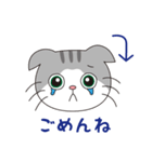 スコティッシュフォールドのねこちゃん（個別スタンプ：11）