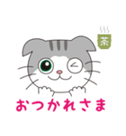 スコティッシュフォールドのねこちゃん（個別スタンプ：14）