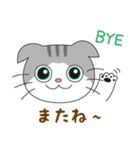 スコティッシュフォールドのねこちゃん（個別スタンプ：24）