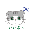 スコティッシュフォールドのねこちゃん（個別スタンプ：25）