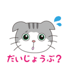 スコティッシュフォールドのねこちゃん（個別スタンプ：30）