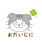 スコティッシュフォールドのねこちゃん（個別スタンプ：32）