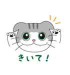 スコティッシュフォールドのねこちゃん（個別スタンプ：33）