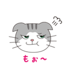 スコティッシュフォールドのねこちゃん（個別スタンプ：38）