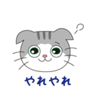 スコティッシュフォールドのねこちゃん（個別スタンプ：39）