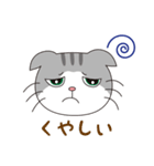 スコティッシュフォールドのねこちゃん（個別スタンプ：40）
