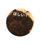 anananco3（個別スタンプ：2）