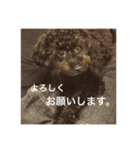 anananco3（個別スタンプ：4）