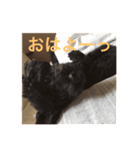 anananco3（個別スタンプ：16）