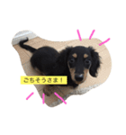 こたぼーい☆（個別スタンプ：3）