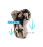 こたぼーい☆（個別スタンプ：5）