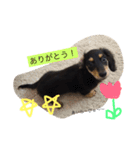 こたぼーい☆（個別スタンプ：6）
