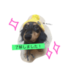 こたぼーい☆（個別スタンプ：7）