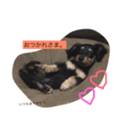 こたぼーい☆（個別スタンプ：10）
