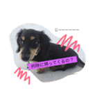 こたぼーい☆（個別スタンプ：11）