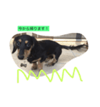 こたぼーい☆（個別スタンプ：18）