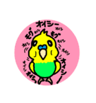 セキセイインコくん（個別スタンプ：3）