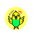 セキセイインコくん（個別スタンプ：4）