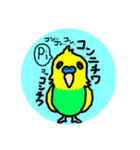 セキセイインコくん（個別スタンプ：5）