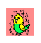 セキセイインコくん（個別スタンプ：6）