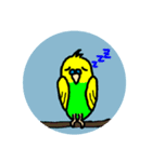 セキセイインコくん（個別スタンプ：7）