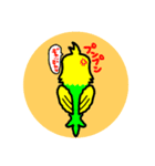 セキセイインコくん（個別スタンプ：8）