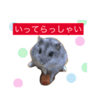 smdファミリー（個別スタンプ：16）