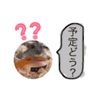 smdファミリー（個別スタンプ：27）