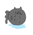 まんまるきんぎょねこ（個別スタンプ：7）