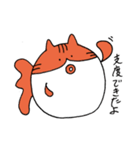 まんまるきんぎょねこ（個別スタンプ：16）