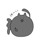 まんまるきんぎょねこ（個別スタンプ：20）